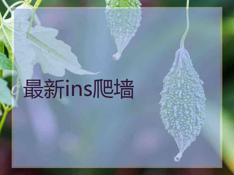 最新ins爬墙