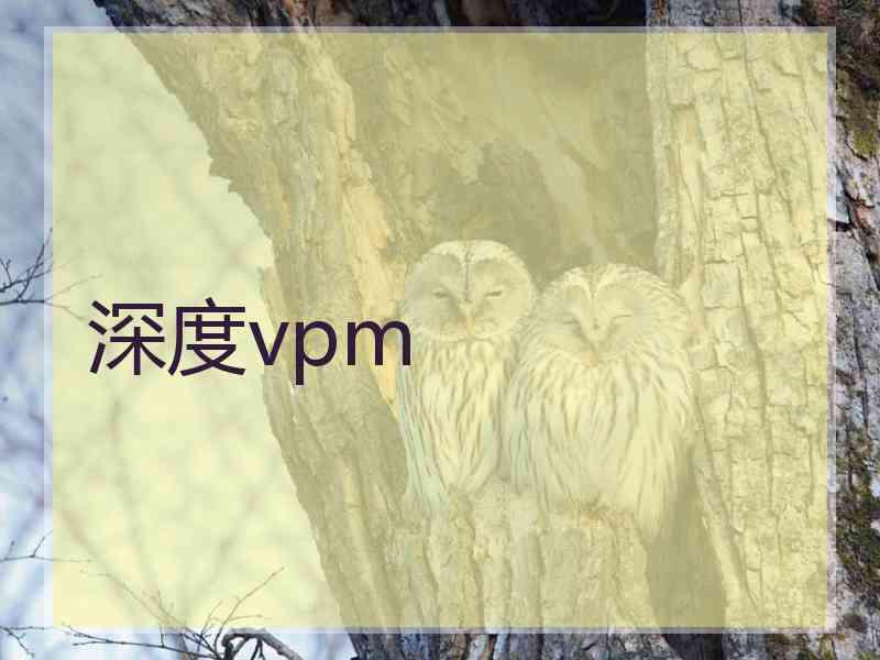 深度vpm