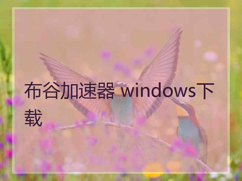 布谷加速器 windows下载