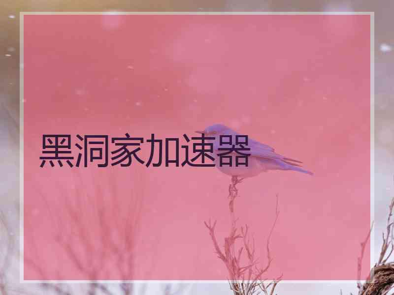 黑洞家加速器