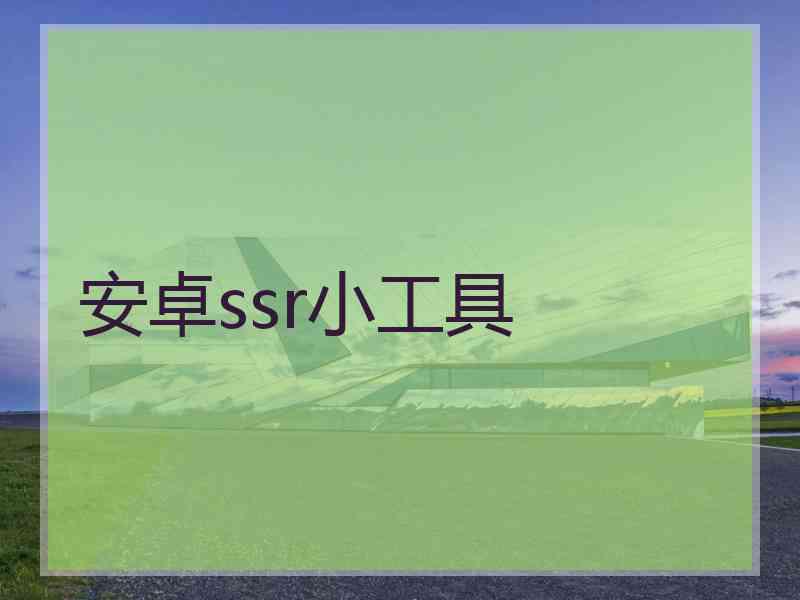 安卓ssr小工具
