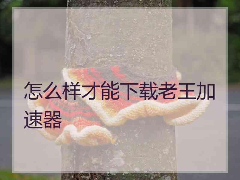 怎么样才能下载老王加速器