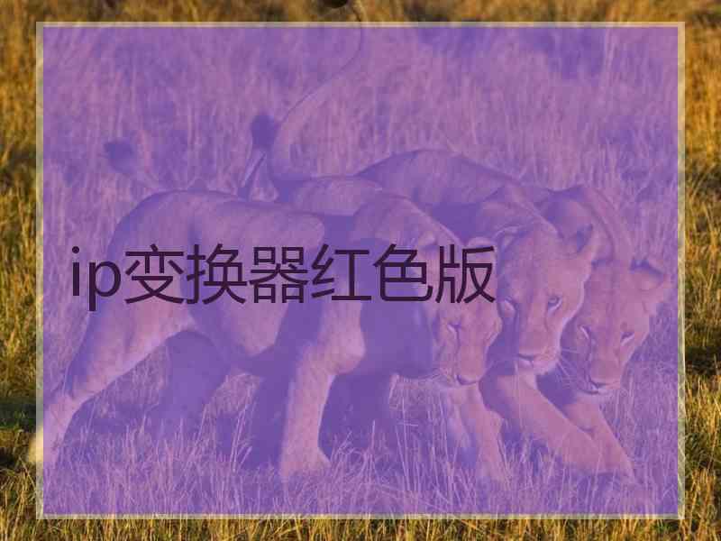 ip变换器红色版