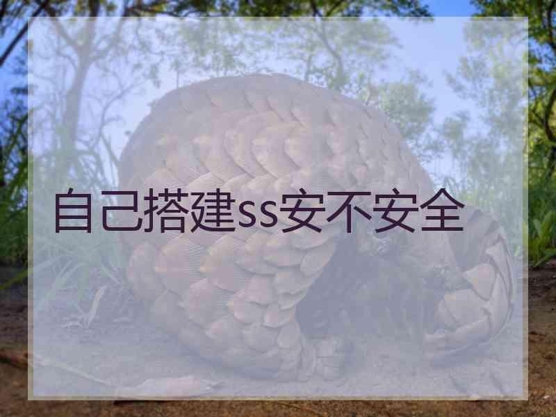 自己搭建ss安不安全