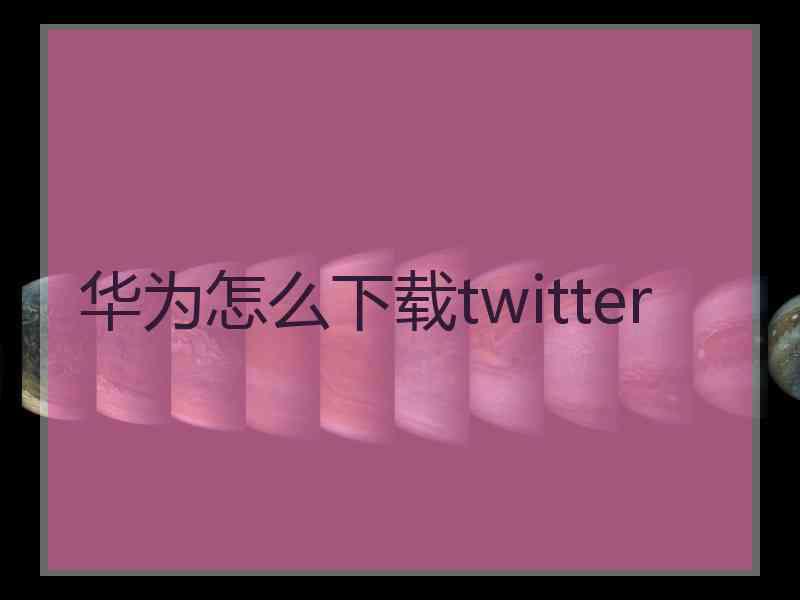 华为怎么下载twitter