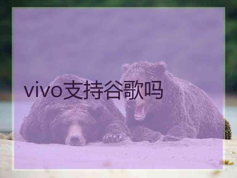 vivo支持谷歌吗