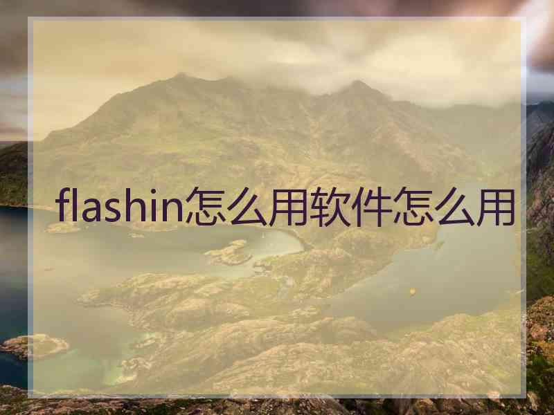 flashin怎么用软件怎么用
