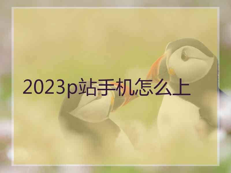 2023p站手机怎么上