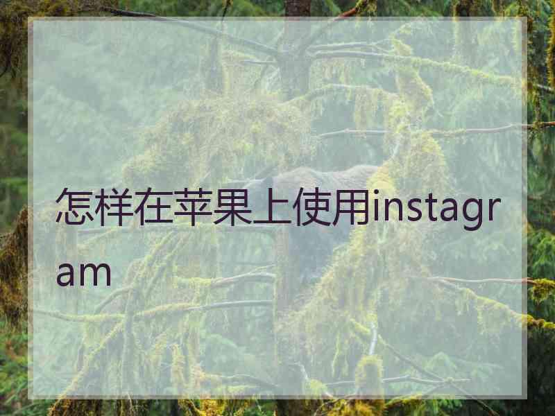 怎样在苹果上使用instagram