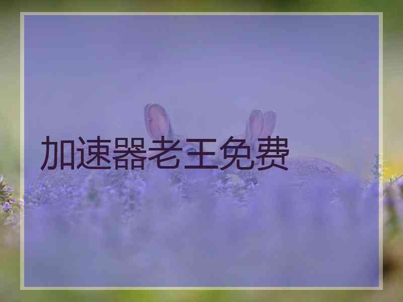 加速器老王免费
