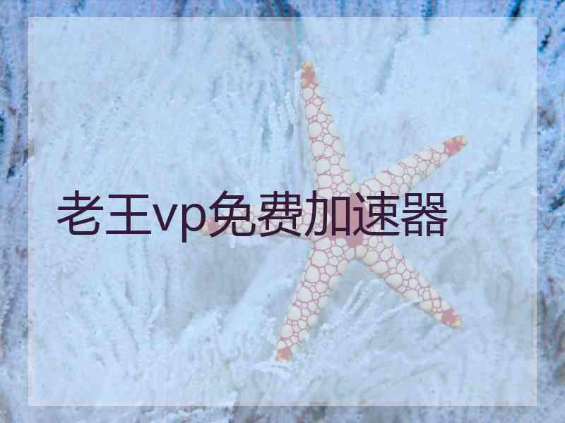 老王vp免费加速器