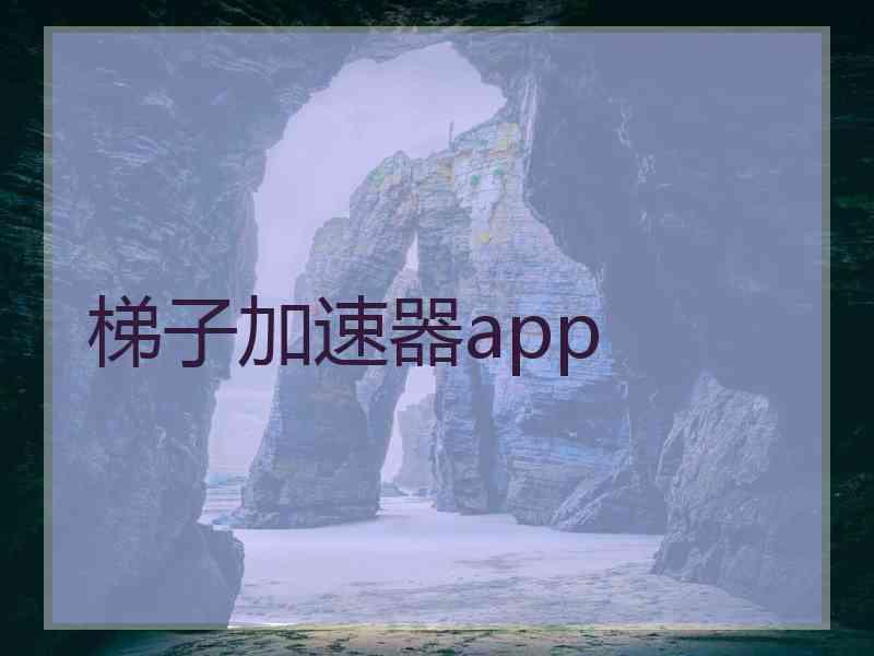 梯子加速器app