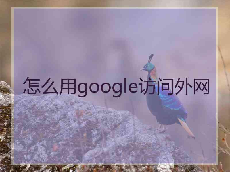 怎么用google访问外网