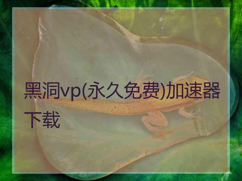 黑洞vp(永久免费)加速器下载