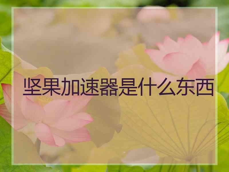 坚果加速器是什么东西