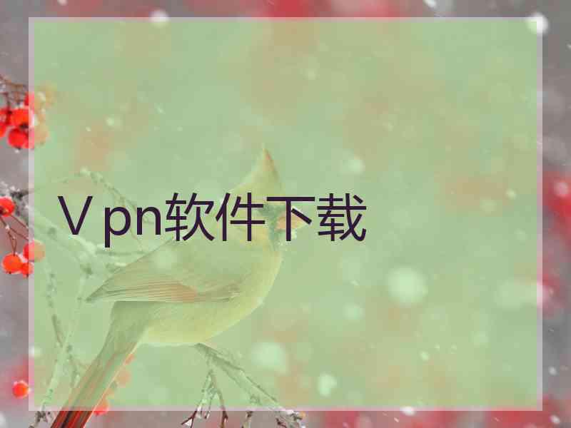 Ⅴpn软件下载
