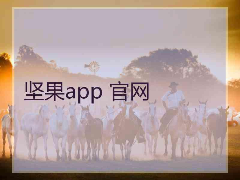 坚果app 官网