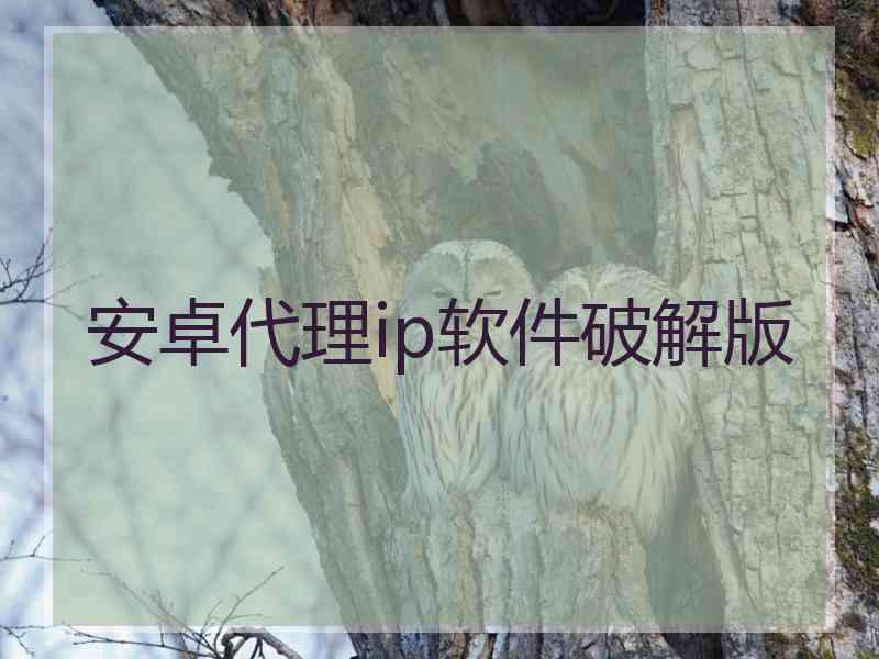 安卓代理ip软件破解版