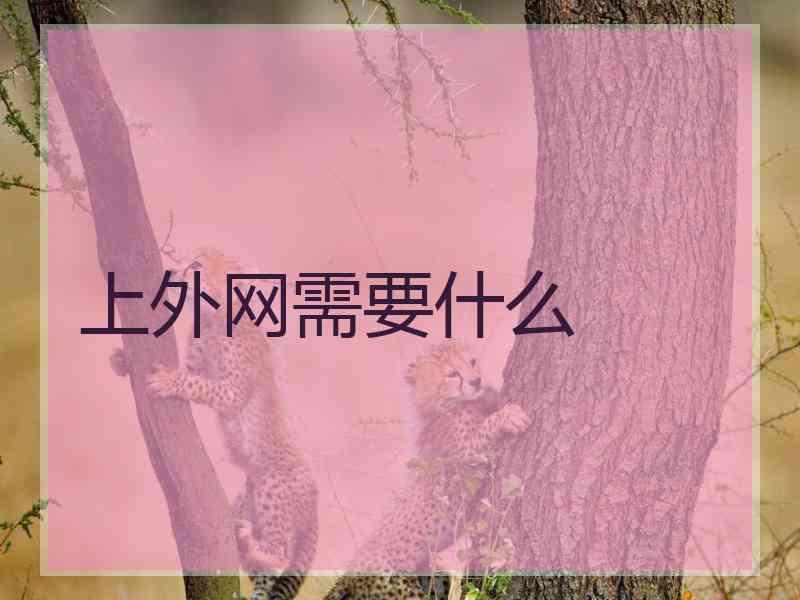上外网需要什么