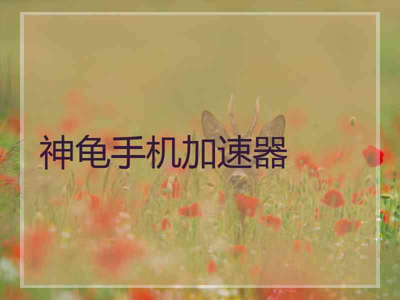 神龟手机加速器