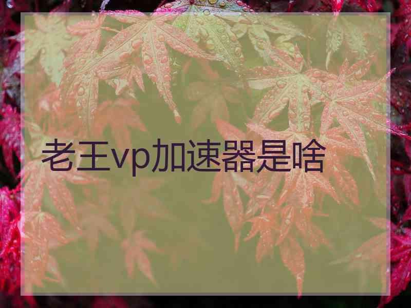 老王vp加速器是啥