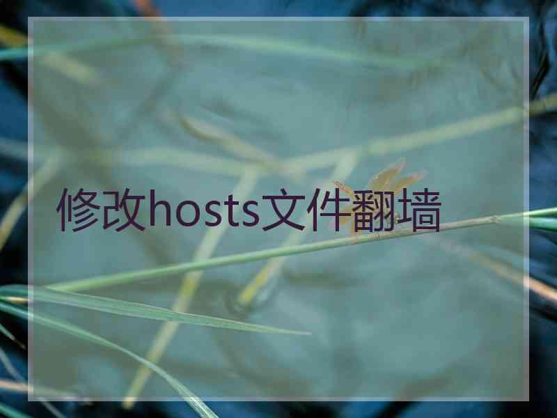 修改hosts文件翻墙