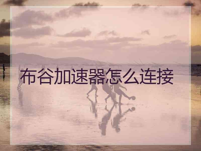 布谷加速器怎么连接