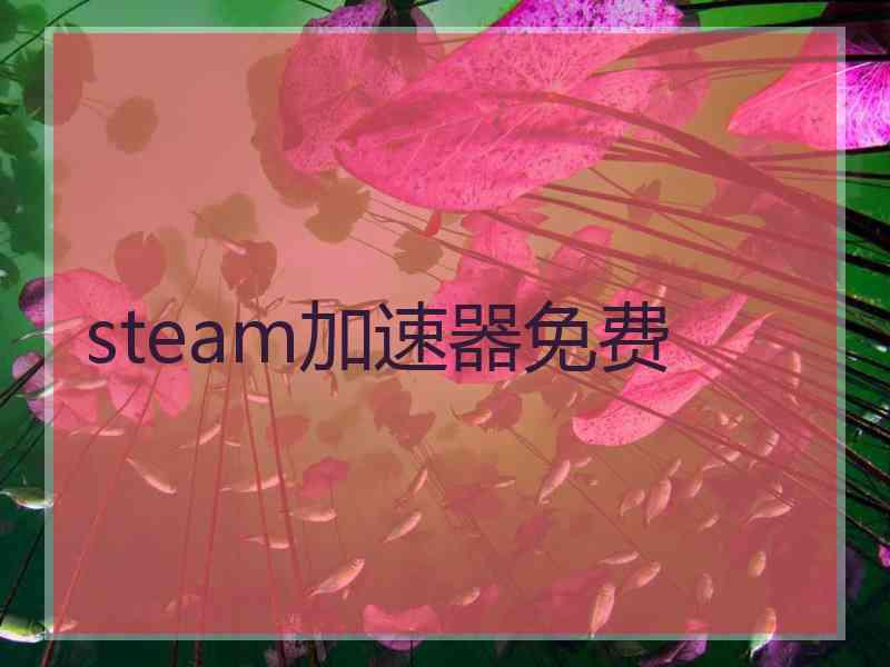 steam加速器免费