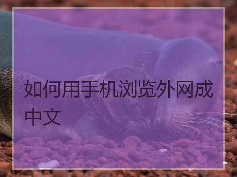 如何用手机浏览外网成中文