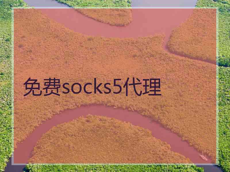 免费socks5代理