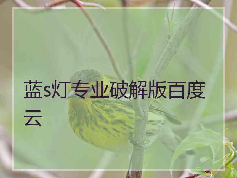 蓝s灯专业破解版百度云