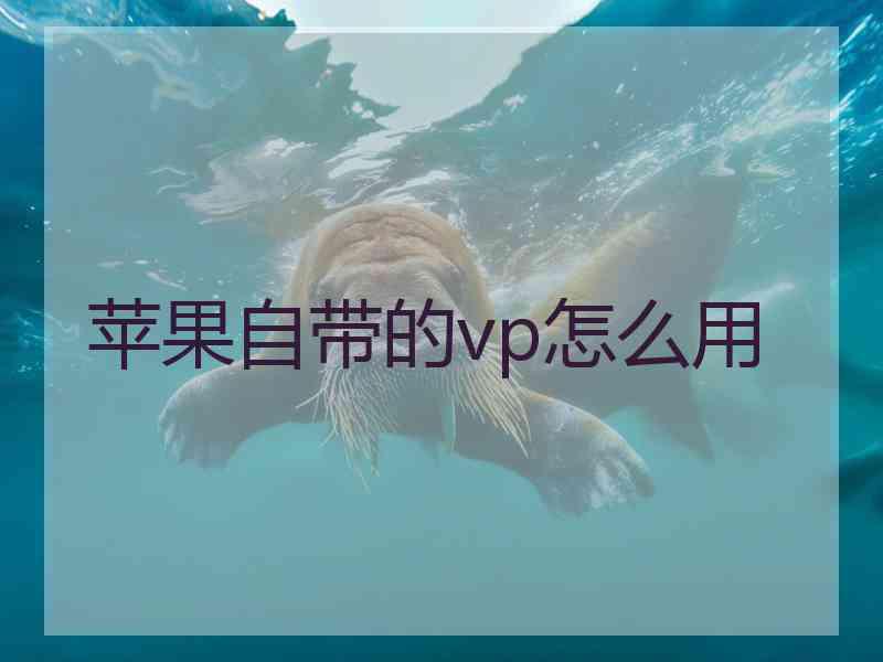 苹果自带的vp怎么用