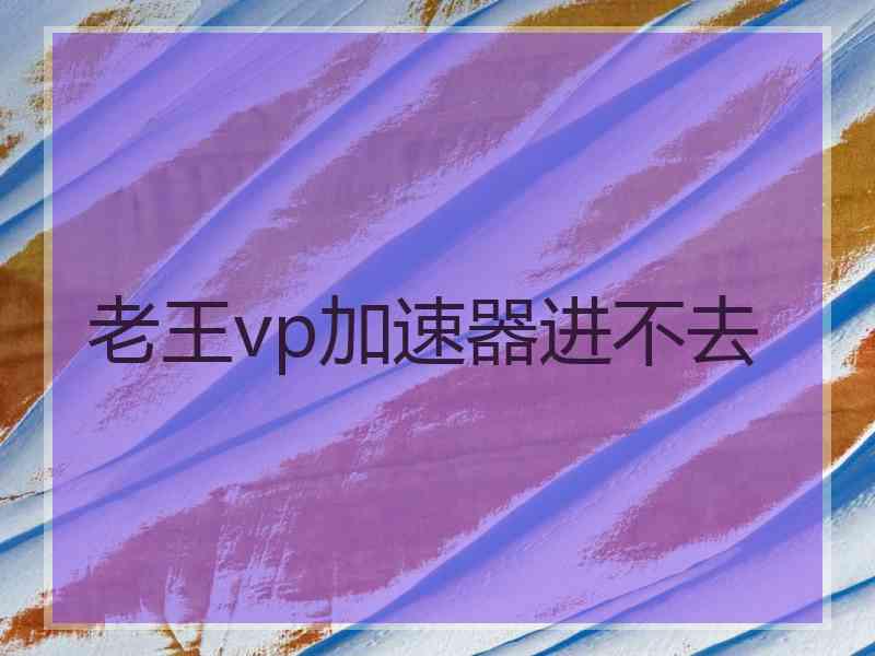 老王vp加速器进不去