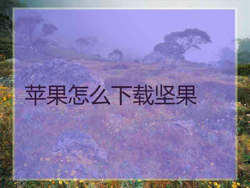 苹果怎么下载坚果