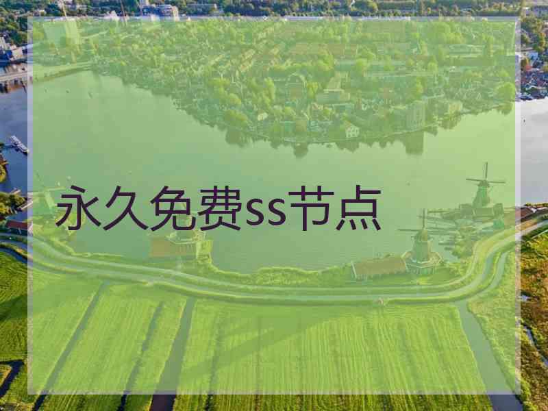 永久免费ss节点