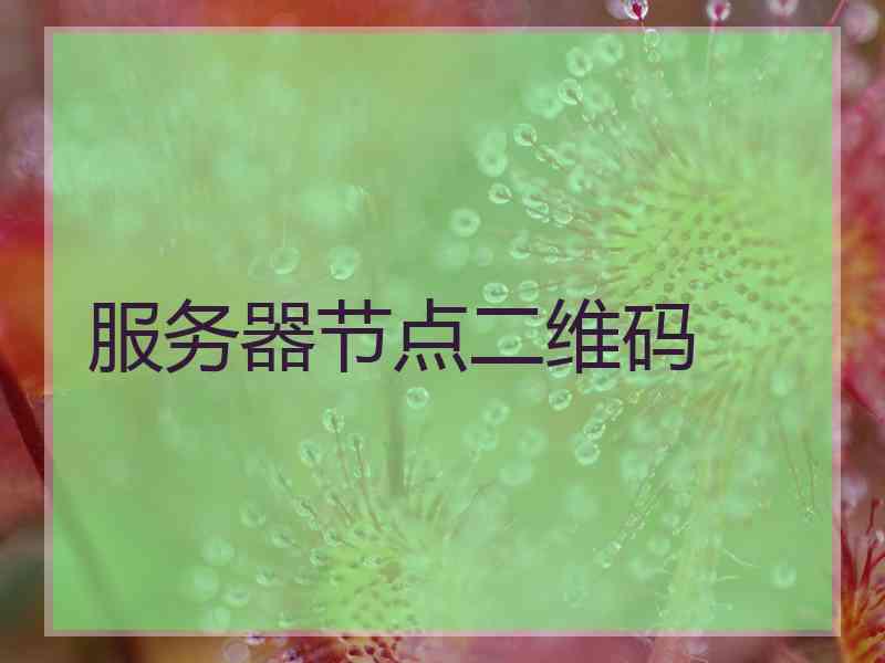 服务器节点二维码