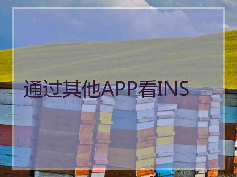 通过其他APP看INS