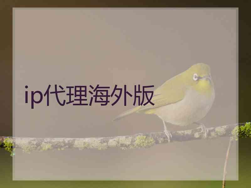 ip代理海外版