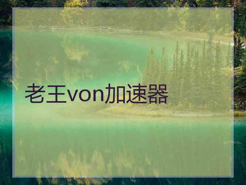 老王von加速器