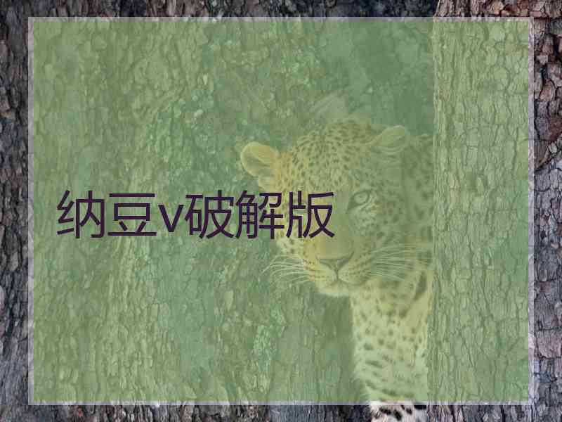纳豆v破解版