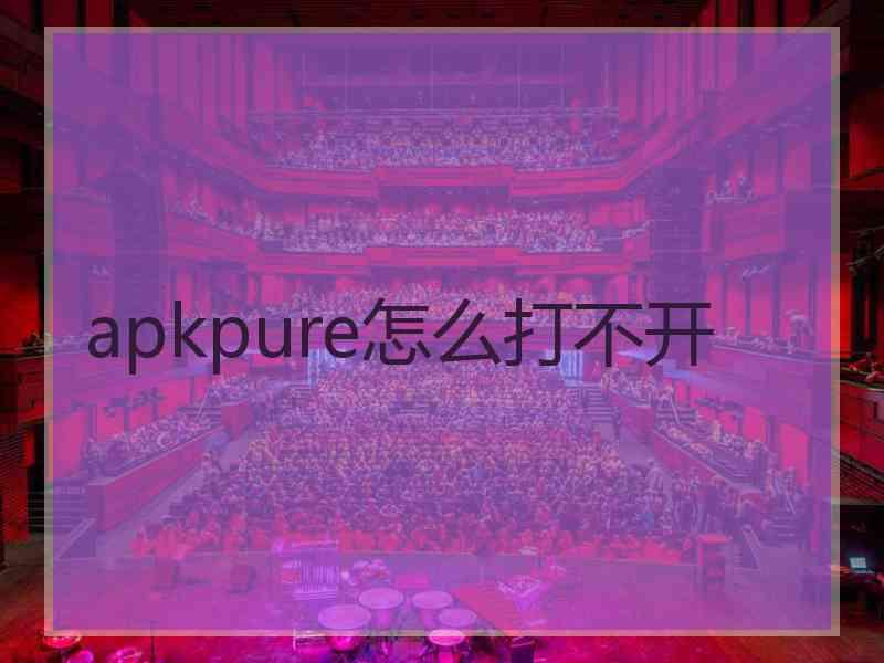 apkpure怎么打不开