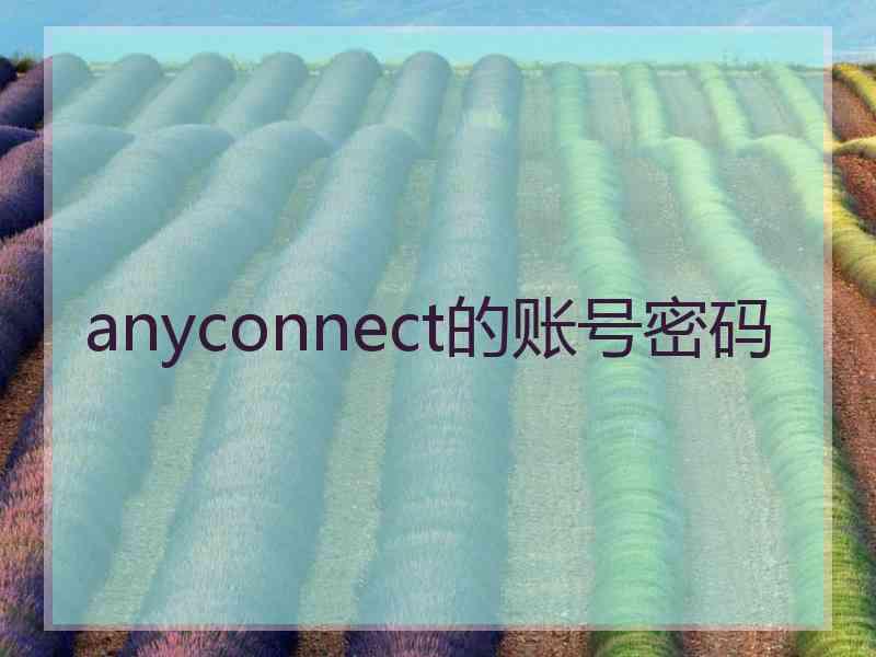 anyconnect的账号密码