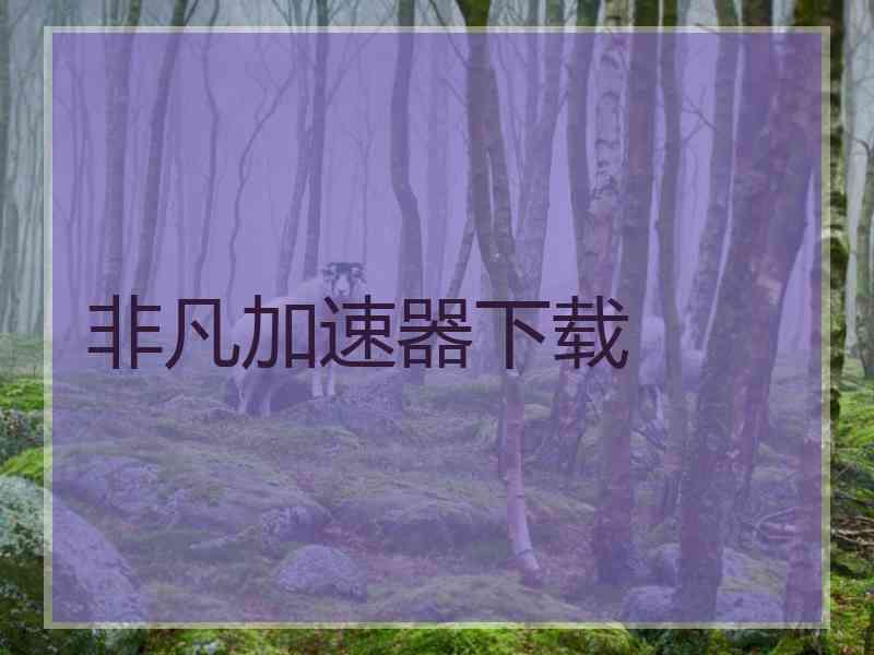 非凡加速器下载