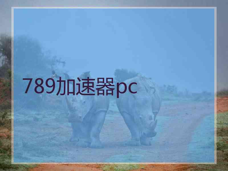 789加速器pc