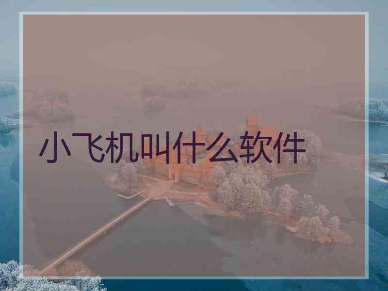 小飞机叫什么软件