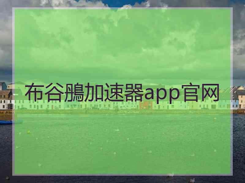 布谷鴅加速器app官网