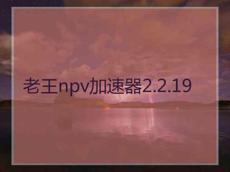 老王npv加速器2.2.19