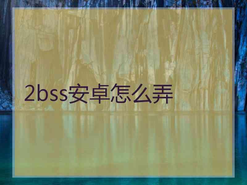 2bss安卓怎么弄