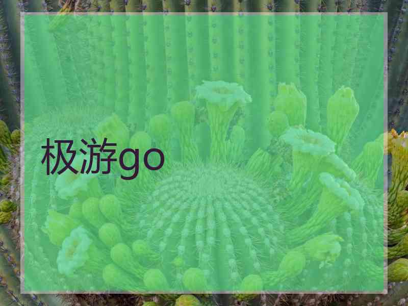 极游go
