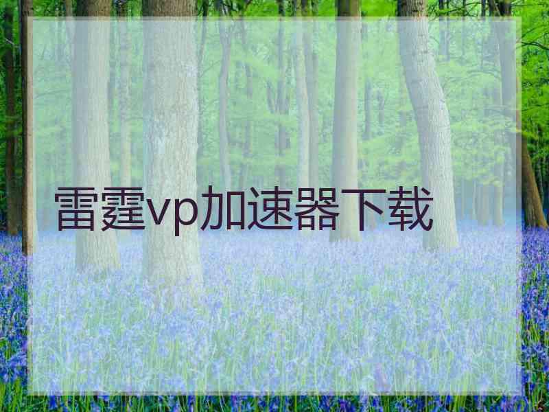 雷霆vp加速器下载